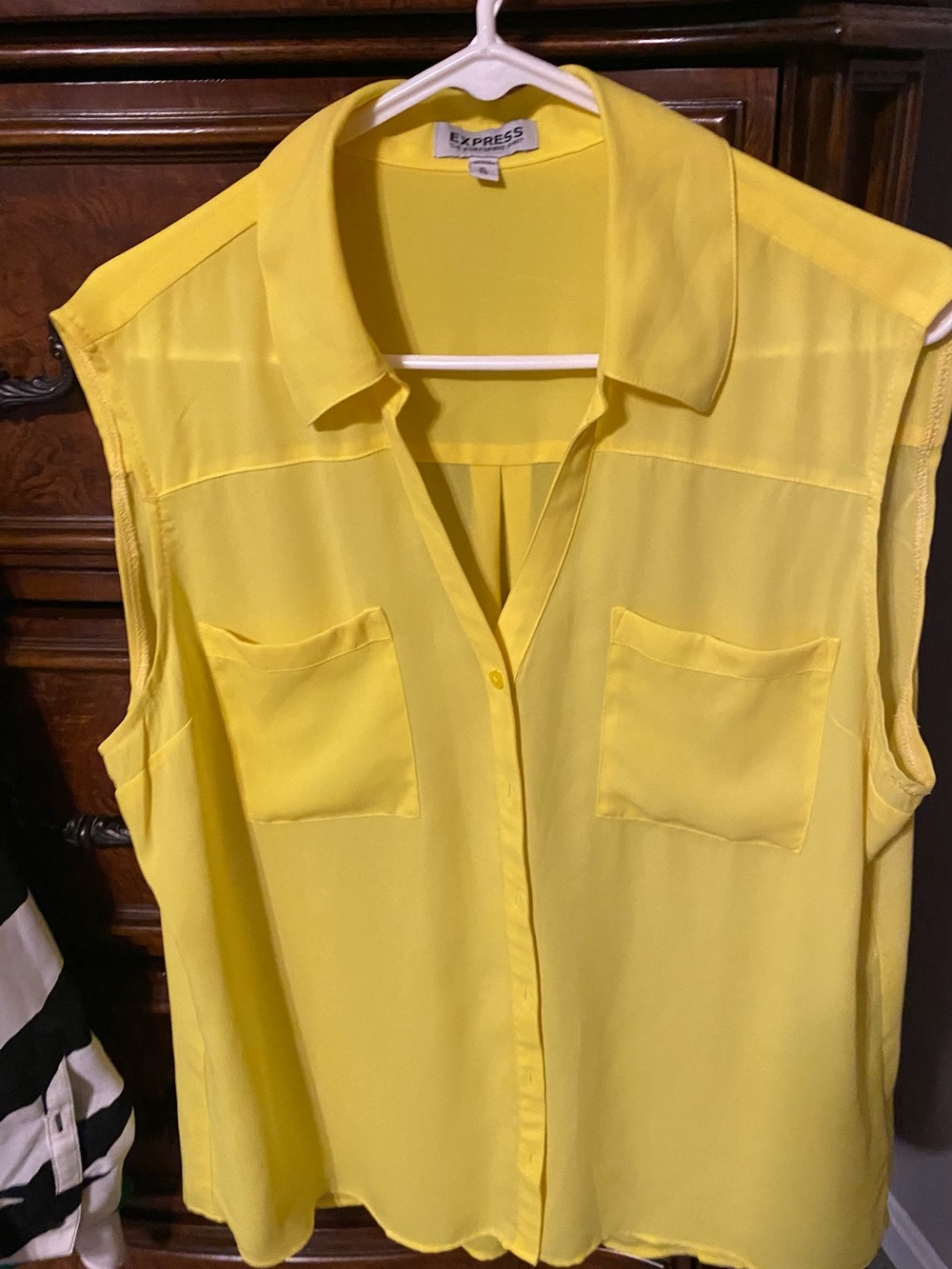 Express sleeveless portofino blouse